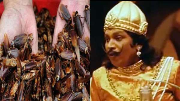 சீச்சீ.. இதெல்லாமா சாப்பிடுவாங்க.. அதுவும் 3 நாள் சுடுநீரில் ஊற வைத்து.. மிரள வைக்கும் 