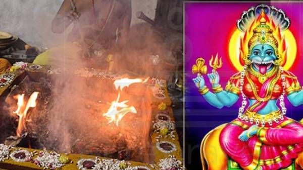 கார்த்திகை அமாவாசை முதல் தை அமாவாசை வரை ராகு,கேது தோஷம் நீக்கும் பிரம்மாண்ட யாகம்