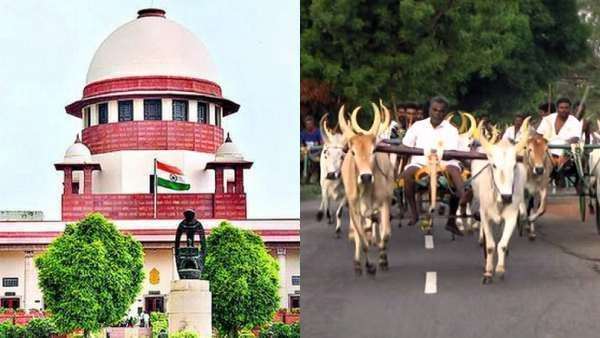 ரேக்ளா பந்தயமும் ஜல்லிக்கட்டும் ஒன்றல்ல: மஹாராஷ்ட்ரா வழக்கில் உச்ச நீதிமன்றத்தில் தமிழக அரசு பதில்