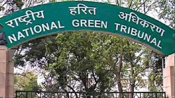 ஆரோவில் கிரவுன் திட்டத்துக்காக.. வனப்பகுதியில் மரம் வெட்ட தேசிய பசுமை தீர்ப்பாயம் அதிரடி தடை!