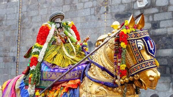 வைகுண்ட ஏகாதசி: ஸ்ரீரங்கத்தில் வேடுபறி - தங்கக் குதிரை வாகனத்தில் எழுந்தருளிய நம்பெருமாள்