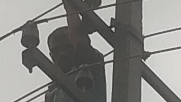 நண்பருடன் 