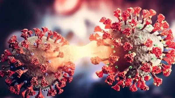 3 பேரில் ஒருவர் பலியாக வாய்ப்பு.. நியோ கோவ் உருமாறிய வைரஸ் பற்றி வூஹான் விஞ்ஞானிகள் எச்சரிக்கை