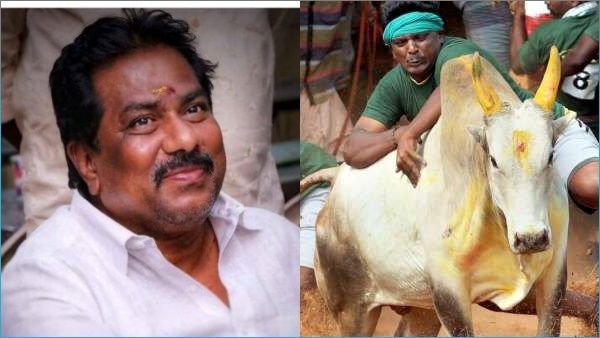 காளையை அடக்கினால் ஜாக்பாட்! ஜல்லிக்கட்டில் வென்றால் அரசு வேலை?என்ன சொல்கிறார் அமைச்சர்-முக்கிய தகவல்