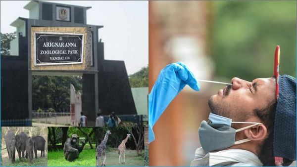 வண்டலூர் பூங்காவில் 70 பேருக்கு கொரோனா- ஜன. 31 வரை மூடல்.. 5 வயது சிங்கமும் உயிரிழந்ததால் பரபரப்பு