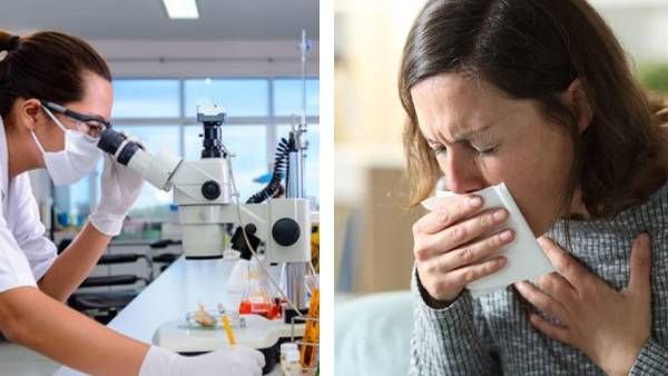 டெங்குவை கட்டுப்படுத்த கொசு உற்பத்தி.. இது என்ன புதுக்கதை..? - ஐசிஎம்ஆர் விஞ்ஞானி சொன்ன தகவல்!