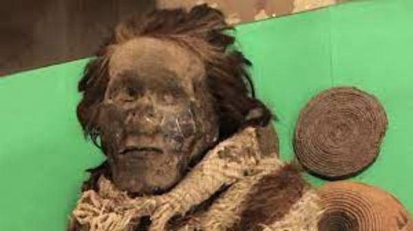 பல்லாயிரம் வருட பழைய மம்மி.. தலையில் இருந்த குட்டி பேன்.. ஆராய்ச்சி செய்தால் எதிர்பார்க்காத ட்விஸ்ட்