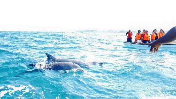 குமரி அருகே கடற்கரையோரம் துள்ளிக்குதித்த டால்பின்கள்! வியப்போடு படம்பிடித்த இளசுகள்!