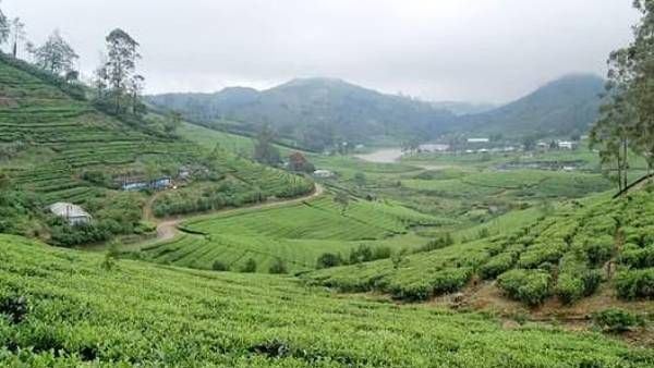 தமிழகத்தில் 'இயற்கை வளத்துறை' என்ற புதிய துறை உருவாக்கம்.. உருவாக்கப்பட்ட காரணம் தெரியுமா?