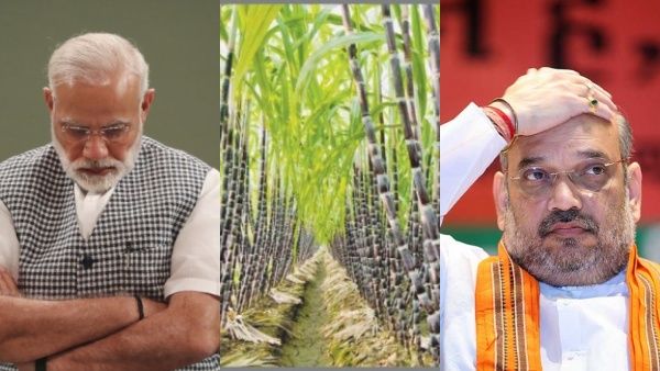 கரும்பு அரசியல்.. கறையும் பாஜக.. உத்தரப்பிரதேசத்தில் பக்காவாக கணக்குத்தீர்க்கிறார்களா விவசாயிகள்?