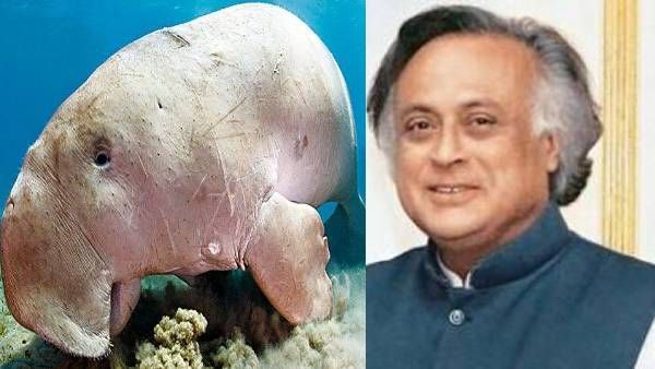 கடல்பசு பாதுகாப்பில் தமிழக அரசு சூப்பர்.. மனசுவிட்டு பாராட்டிய ஜெய்ராம் ரமேஷ்!