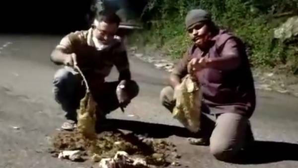 கோவை மருதமலை அடிவாரத்தில் யானை சாணத்தில் நாப்கின், மாஸ்க்!.. எத்தனை ஆபத்தில் வனவிலங்குகள்?