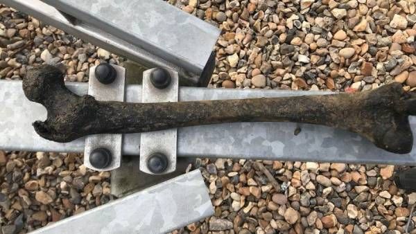 விலகாத அந்த மர்மம்.. ஆற்றில் கிடந்த பழைய மனித எலும்பு.. எடுத்து பார்த்தா 5000 வருஷம் பழசு.. ஆனால்..!