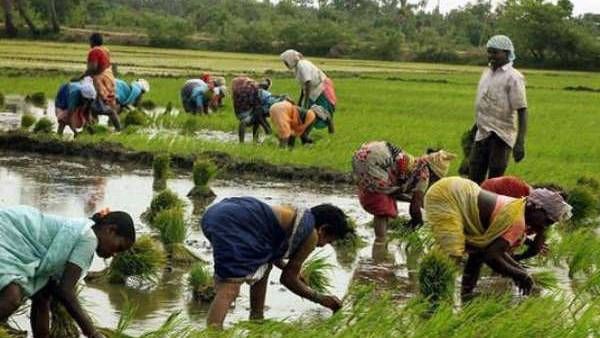 தஞ்சாவூர் கொள்ளிடம் ஆற்றில் குடி நீர் திட்டம்: எதிர்த்துப் போராடும் விவசாயிகள் - காரணம் என்ன?
