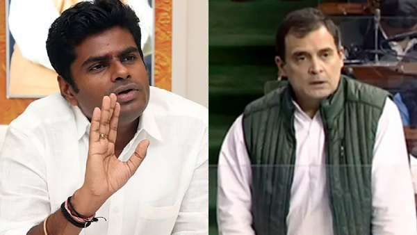 இன்று புதுச்சேரி.. அடுத்து தமிழ்நாடுதான்... விரைவில் பார்ப்பீர்கள் - ராகுல் பேச்சுக்கு அண்ணாமலை பதிலடி