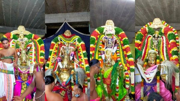 திருநாங்கூர் 11 திருப்பதிகள் பதினோரு கருட சேவை விழா - கண் குளிர தரிசித்த பக்தர்கள்