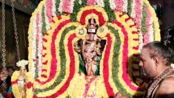 சூரியனார் கோவிலில் ரத சப்தமி விழா கோலாகலம் - சூரியபகவான் திருக்கல்யாணம்