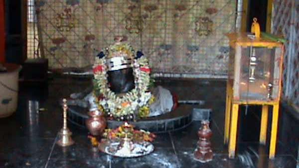 மகாசிவராத்திரியில் மகாலிங்கத்திற்கு அபிஷேகம் - சதுரகிரி செல்ல பக்தர்களுக்கு அனுமதி