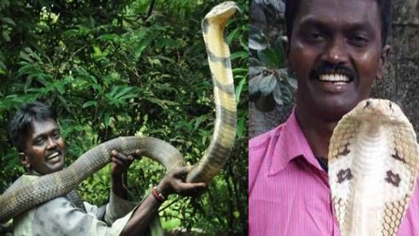 ''நான்தான் வாவா சுரேஷ்..'' கண்விழித்து பேசிய பாம்புபிடி மன்னன்! ஆபத்தான கட்டத்திலிருந்து மீண்டார்