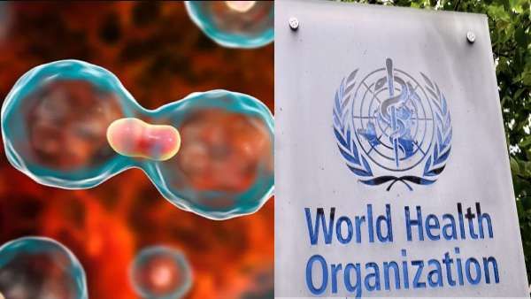 கேன்சர் காரணமாக ஒரே வருடத்தில் இவ்வளவு மரணமா? உலக சுகாதார மையம் வெளியிட்ட அதிர்ச்சி ரிப்போர்ட்