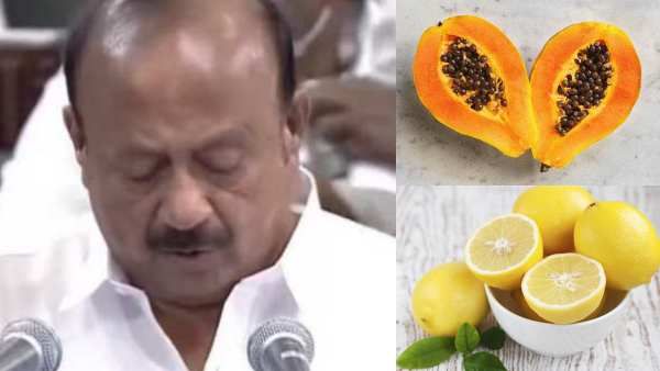 பப்பாளி -எலுமிச்சை அடங்கிய தோட்டக்கலைச் செடிகள் யாருகெல்லாம் இலவசம்? பட்ஜெட்டில் அறிவித்தது என்ன?