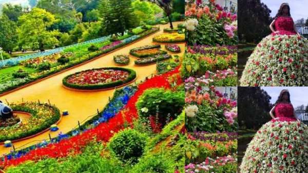 துள்ளி குதிக்கிறாள் 