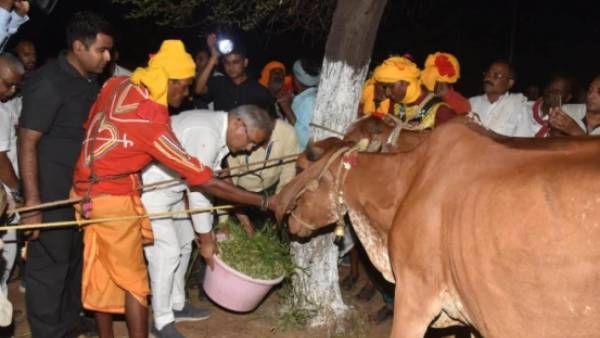 கோமியத்துக்கு காசு... பாஜக வழியில் சத்தீஸ்கர் மாநில காங்கிரஸ் அரசின் பலே திட்டம்