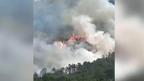 சீனாவில் 133 பயணிகளுடன் சென்ற விமானம் விபத்து.. பலர் உயிரிழந்திருக்கலாம் என அச்சம்