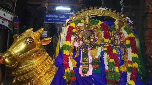 மதுரை சித்திரை திருவிழா முகூர்த்தக்கால் கோலாகலம் - ஏப்.14ல் மீனாட்சி சொக்கநாதருக்கு திருக்கல்யாணம்