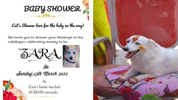 பத்திரிக்கை அடித்து, வளையல் அணிவித்து.. நாய்க்கு நடந்த வளைகாப்பு! - அசத்திய சேலத்து குடும்பம்!