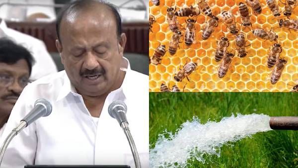 பம்புசெட்டுகளை இனி போனிலேயே இயக்கலாம்! தேனீ வளர்ப்புக்கு ரூ.8 கோடி நிதி! பட்ஜெட் முழு விவரம் இதோ!