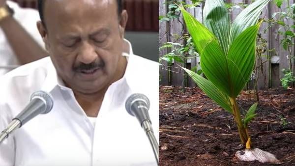 வீடுகள்தோறும் இலவச தென்னங்கன்று.. வேளாண் பட்ஜெட்டில் அறிவிப்பு!