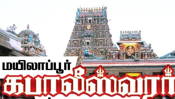 மயில் எங்கே? மயிலாப்பூர் கபாலீஸ்வரர் கோவில் குளத்தில் இறங்கிய.. 70+ தீயணைப்பு வீரர்கள்! என்னாச்சு?
