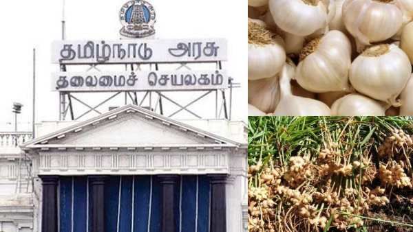 இஞ்சி, பூண்டு சாகுபடிக்கு அதிக முக்கியத்துவம்! நிதியை தாராளமாக ஒதுக்கிய தமிழக அரசு! பட்ஜெட் விவரம்!