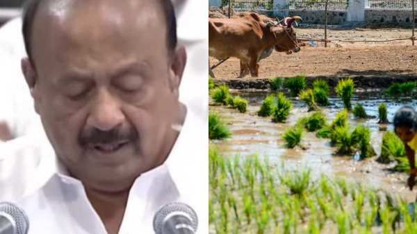 வேளாண் பட்ஜெட்.. நேற்று தவிழும் குழந்தை, இன்று நடக்கும் குழந்தை, நாளை ஓடும் குழந்தை.. அமைச்சர் பன்ச்