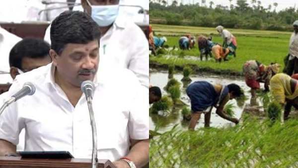 நாளை வேளாண் பட்ஜெட் தாக்கல்! முக்கிய அறிவிப்புகள் வெளியாக வாய்ப்பு -எதிர்பார்ப்பை பூர்த்தி செய்யுமா?