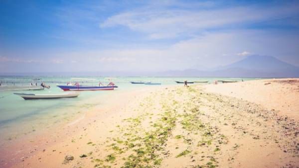 நம்ம சென்னை நம்ம மெரினா! சர்வதேச கடற்கரை தூய்மை தினம்! சென்னை கடற்கரைகளில் குவிந்த தன்னார்வலர்கள்!