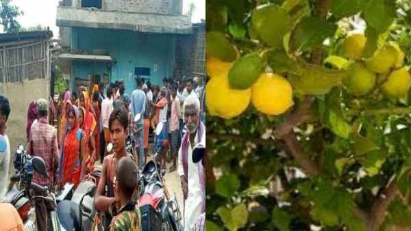 எலுமிச்சை பறித்ததால் கோபம்.. மருமகளை அடித்துக் கொன்ற மாமியார்.. பீகாரில் கொடூரம்!