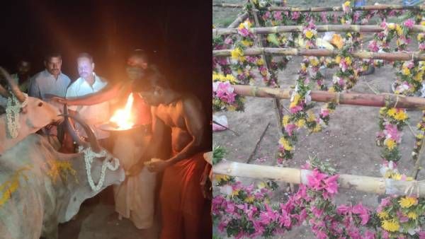 சித்ரா பவுர்ணமி : விவசாய நிலத்தில் கரும்பு பந்தல்...மாடுகளுக்கு பூஜை - 104 ஆண்டு பாரம்பரியம்