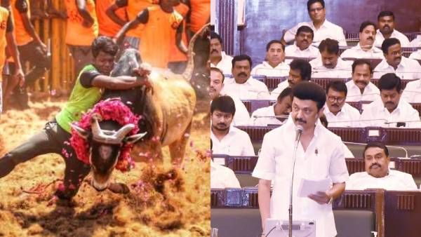 அலங்காநல்லூர் ஜல்லிக்கட்டுக்கு பிரம்மாண்ட மைதானம்! வடசென்னையில் குத்துச்சண்டை விளையாட்டு வளாகம்!