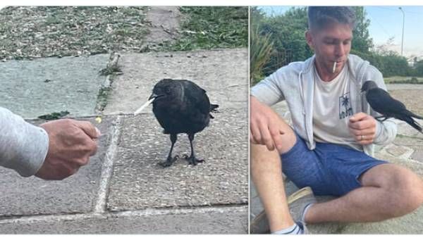 நண்பேன்டா.. ஊரடங்கில் கிடைத்த வித்தியாசமான நட்பு.. இளைஞருடன் சிகரெட் பிடிக்கும் காகம்