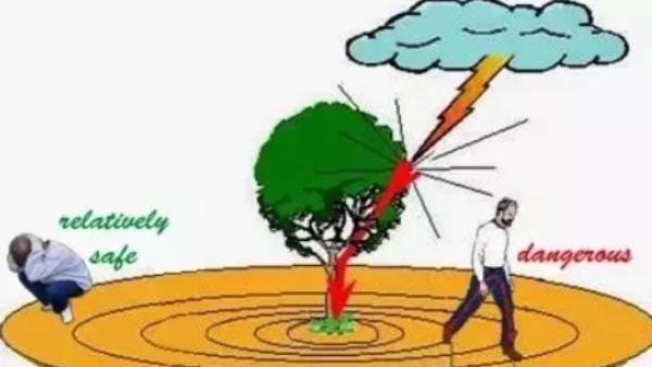 மின்னல் பாயும் போது உயிரிழப்பு ஏற்படுவது எப்படி?.. தடுக்க என்ன வழிகள்?.. எதெல்லாம் டேஞ்சர்!