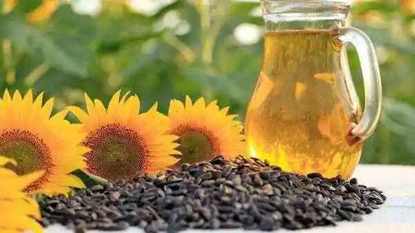 இருமடங்கு உயர்ந்த எண்ணெய் விலை .. கச்சா எண்ணெய்யுடன் போட்டி போடும் நல்லெண்ணெய்.. கலக்கத்தில் மக்கள்!