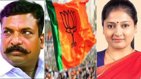 திருமாவளவனை சீண்டிய பாஜக.. கோயம்பேட்டில் நடந்த மோதல்.. கோர்ட்டில் முன்ஜாமீன் வாங்கிய காயத்ரி ரகுராம்