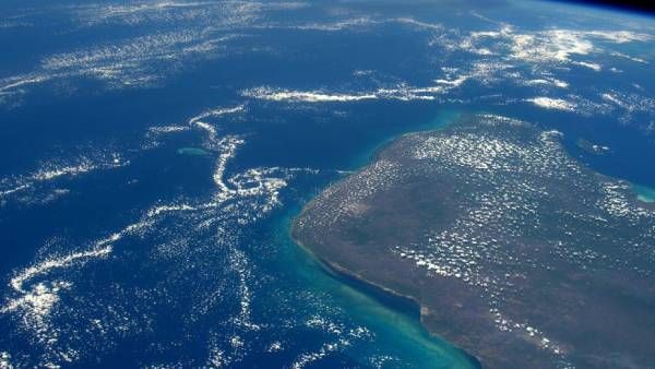 அட அங்கேயா! டைனோசர்களை அழித்த விண்கல்.. பூமியில் எங்கு மோதியது தெரியுமா? கண்டுபிடித்த விஞ்ஞானிகள்!