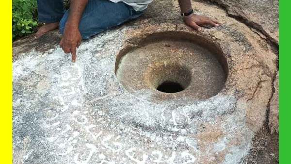 புதர்பகுதியில் நடந்த அதிசயம்.. 