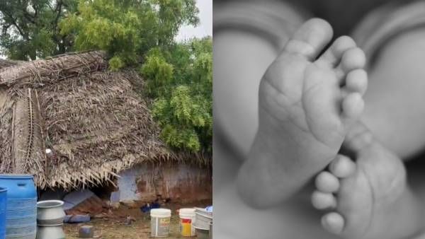 நாட்றம்பள்ளியில்.. நள்ளிரவில் வீசிய சூறாவளி.. முறிந்து விழுந்த வேப்ப மரம்.. 6 வயது சிறுமி பரிதாப பலி