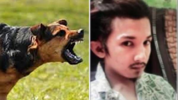 டெல்லியில் ஆங்கிலம் பேசியவர் மீது தாக்குதல்... நாயை ஏவி கடிக்க செய்த கொடூரம்... நடந்தது என்ன?