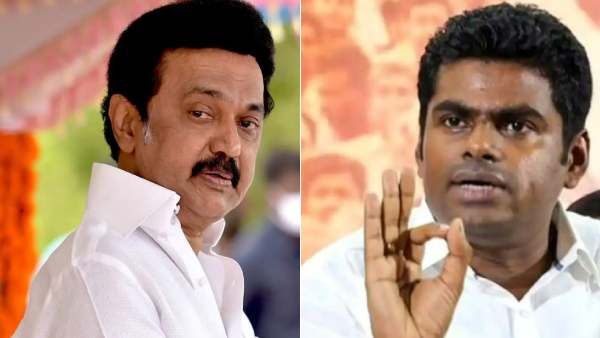 தமிழகத்தில் பாஜகவுக்கு 25 எம்.பி.க்கள் உறுதி! திமுகவின் ஊழல்களை புகாரளிக்க டோல் பிரீ எண் -அண்ணாமலை