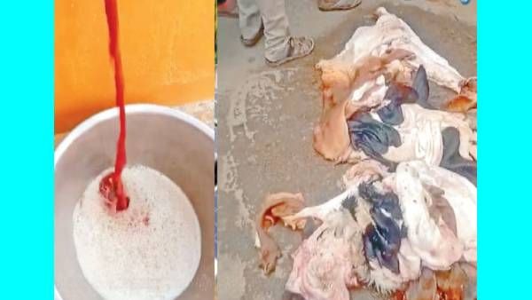 குழாயை திறந்தால் 